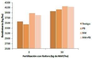 Rendimiento de trigo según uso de promotores de crecimiento y fertilización fosfatada - Resumen Trigo y Cebada. INTA Tandil 2013-14. - Image 1
