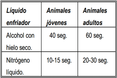 Opciones actuales para la identificación de animales domésticos y silvestres - Image 1