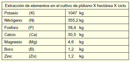 Protocolo de Manejo del Cultivo de Plátano - Image 2