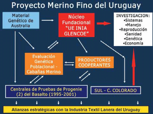 Diez años del proyecto medino fino del uruguay (1998 - 2008): Aportes tecnológicos para la sostenibilidad de los sistemas productivos ganaderos de la región de Basalto - Image 1