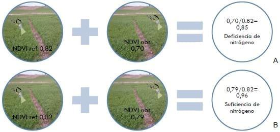 Resultados de ensayos de trigo y de cebada en campos de productores. Campaña 2014-15 - Uso de sensores remotos como herramienta para fertilización con Nitrógeno. - Image 5