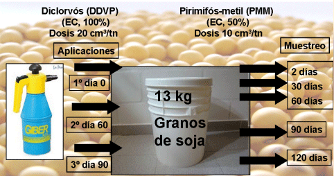 Buenas prácticas agrícolas para el uso responsable de plaguicidas en la producción de agroalimentos - Image 2