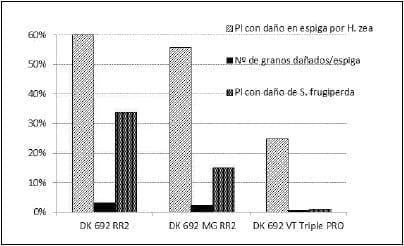 Evaluación del daño causado por insectos lepidópteros en híbridos de maíz BT (VT triple Pro y MG) y convencional, y determinación del impacto sobre el rendimiento - Image 2