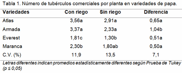 Influencia de la sequia en el numero y peso de tuberculos comerciales en variedades de Papa (Solanum tuberosum L.) - Image 1