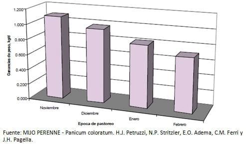 Mijo perenne (Panicum coloratum): Implantación, Manejo y Productividad. - Image 3