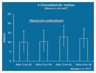 Mijo perenne (Panicum coloratum): Implantación, Manejo y Productividad. - Image 5