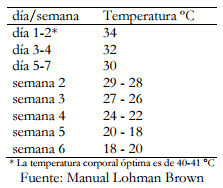 Parámetros productivos de gallinas Lohman Brown en etapa de levante alimentadas con dieta tradicional - Image 1