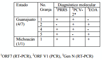 Virus de PRRS, circovirus porcino tipo 2 y ojo azul, en cerdos retrasados y con problemas respiratorios de granjas comerciales - Image 2