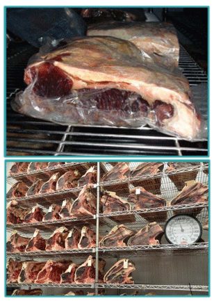 Sistemas de Producción y Calidad de carne Bovina - Image 23