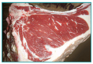 Sistemas de Producción y Calidad de carne Bovina - Image 13