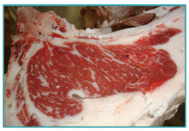 Sistemas de Producción y Calidad de carne Bovina - Image 22