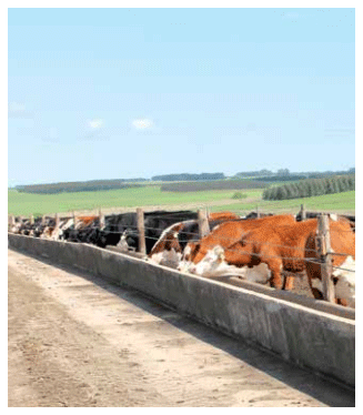Emisiones de Co en la ganadería de Uruguay. Evolución e impacto de estrategias tecnológicas de mitigación - Image 9