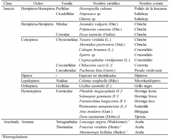 Evaluación y determinación de niveles de infestación de insectos fitófagos presentes en un agroecosistema leucaena-guinea - Image 2