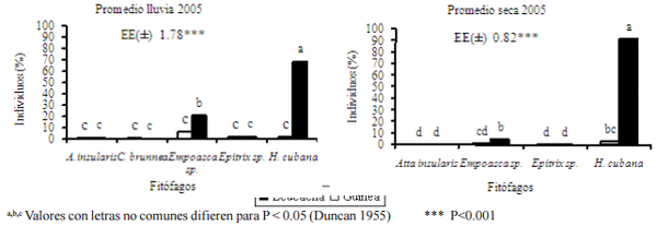 Evaluación y determinación de niveles de infestación de insectos fitófagos presentes en un agroecosistema leucaena-guinea - Image 8