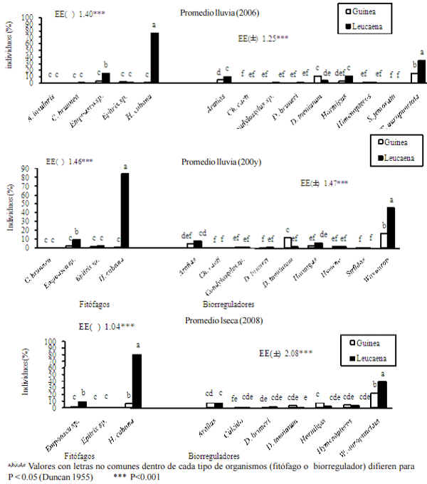 Evaluación y determinación de niveles de infestación de insectos fitófagos presentes en un agroecosistema leucaena-guinea - Image 9