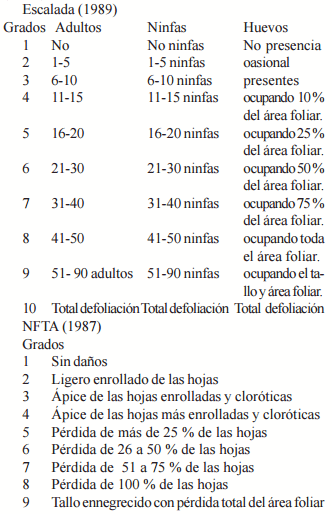 Evaluación y determinación de niveles de infestación de insectos fitófagos presentes en un agroecosistema leucaena-guinea - Image 1