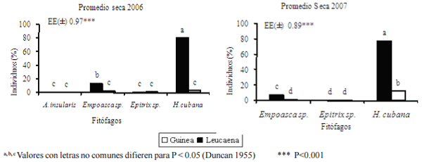 Evaluación y determinación de niveles de infestación de insectos fitófagos presentes en un agroecosistema leucaena-guinea - Image 5