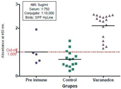 Desarrollo de una vacuna multiepitópica contra el virus de influenza aviar A-H5N1 en base a herramientas inmunoinformáticas - Image 9