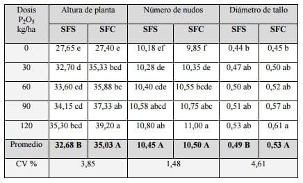 Efecto de fuentes y dosis de fósforo en el cultivo de soja (glycine max l.) en un suelo rhodic paleudult - Image 6