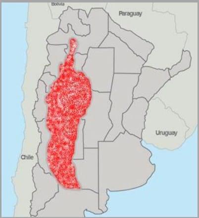 Gramíneas forrajeras para el subtrópico y el semiárido central de la Argentina - Image 56