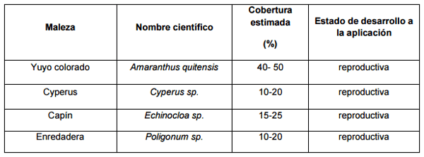 Evaluación de la eficacia de la lecitina de soja como coadyuvante; su comparación con productos de similar acción en parcelas enmalezadas en verano. - Image 2