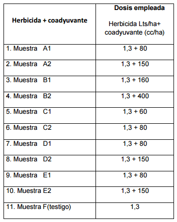 Evaluación de la eficacia de la lecitina de soja como coadyuvante; su comparación con productos de similar acción en parcelas enmalezadas en verano. - Image 1