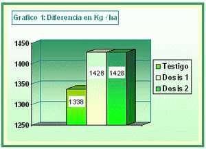 Evaluación del uso de diferentes dosis de Azospirillum brasilense, en trigo duro (Triticum aestivum) - Image 3