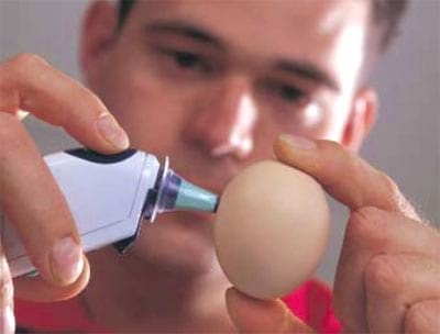 La incubación de carga única es la opción más natural - Image 1