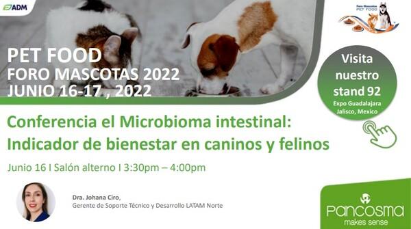Microbioma Intestinal: Indicador de bienestar en caninos y felinos - Image 1
