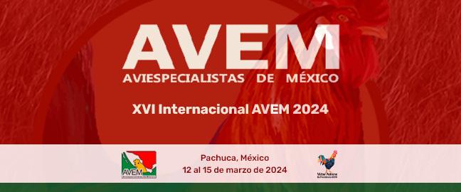 XVI Congreso Internacional AVEM 2024