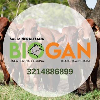 Sal mineralizada BIOGAN  - 2