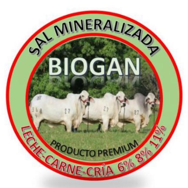 Sal mineralizada BIOGAN  - 4
