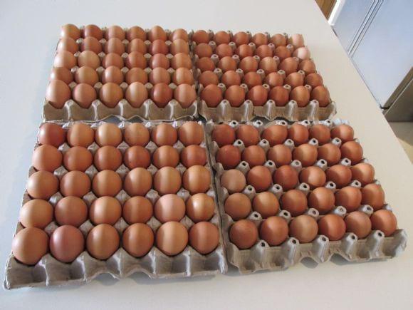 120 huevos