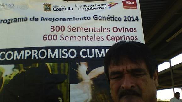 venta de sementales caprinos en allende coahuila