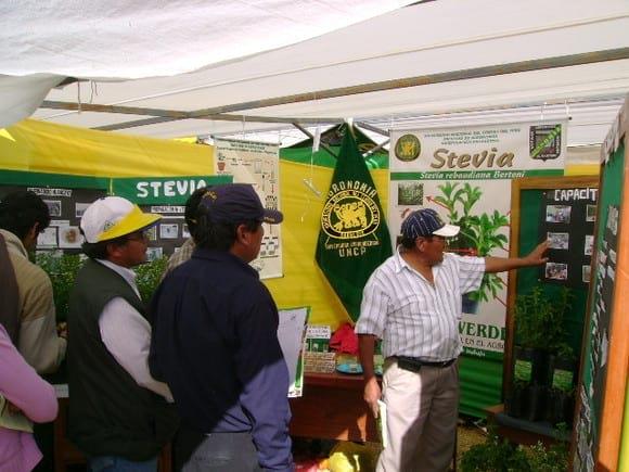 Exponiendo sobre stevia y aplicación en la salud humana y su aplicción en agricultura como descontaminante de lso suelo con agroquímicos