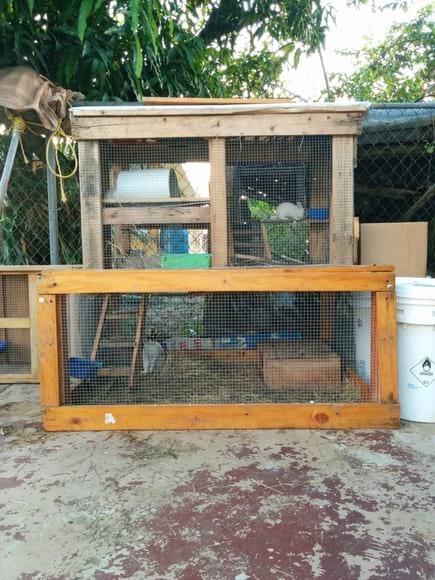 jaula casera para mis conejos