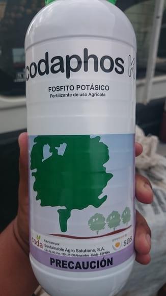 fosfito de potasio