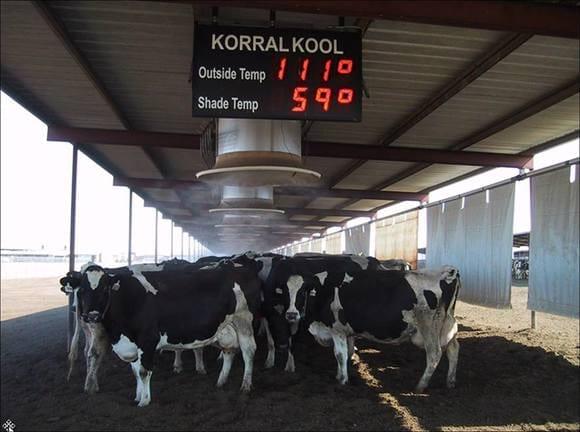 The ambient temperature control in farm areas is very important in Arizona.