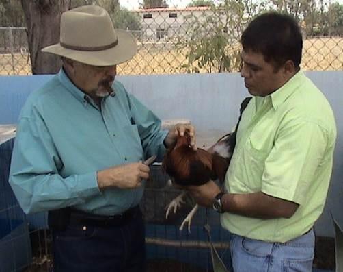 Con Don Guillermo Bustamante Valencia; Granja Cría del Sur; México.