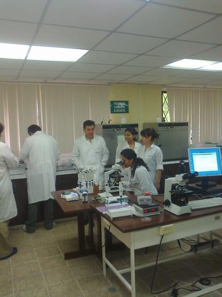 Laboratorio de Biotecnología Animal  IASA II
