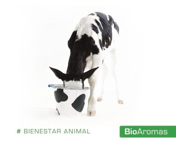 BioAromas es Bienestar Animal