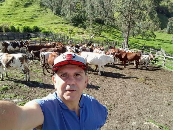 Reproduccion de bovinos trópico alto Colombia