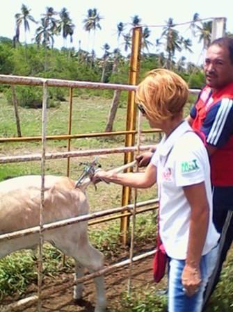 Impacto socio-ambiental del Programa para el Control Integrado contra la  garrapa R Boophilus Microplus, en el estado Venezolano de Anzoátegui