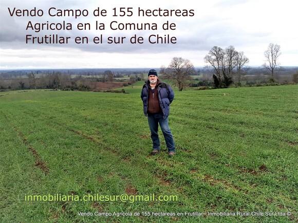 Vendo campo Agricola de 155 hectáreas sur de Chile