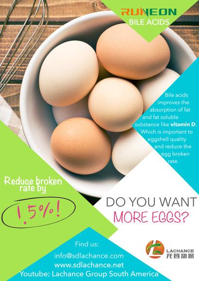 ¡Los ácidos biliares reducen la tasa de rotura de huevos en un 1,5%!