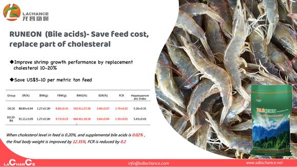 La mejor solución para ahorrar el costo de alimentación del cultivo de camarón.