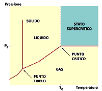 Determinación de Aceite/Grasa Total en Alimentos Concentrados utilizando el método LECO/SFE - Extracción con Fluidos Supercríticos - Image 1