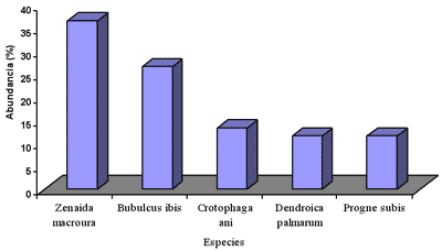 Estudio de la diversidad zoológica asociada a un silvopastoreo leucaena-guinea con diferentes edades de establecimiento. - Image 2