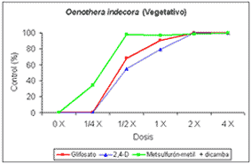 Control de Oenothera indecora y Oenothera affinis con distintas dosis de herbicidas postemergentes. - Image 4