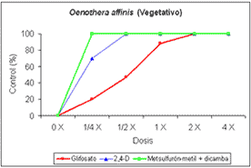 Control de Oenothera indecora y Oenothera affinis con distintas dosis de herbicidas postemergentes. - Image 6